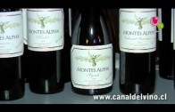 Privado: Gala del Vino Cachagua 2012 – Viña Montes