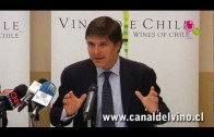 Privado: Preguntas y Respuestas conferencia de prensa Vinos de Chile Salvaguarda