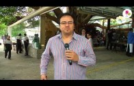 Canaldelvino.tv Pronto en Brasil
